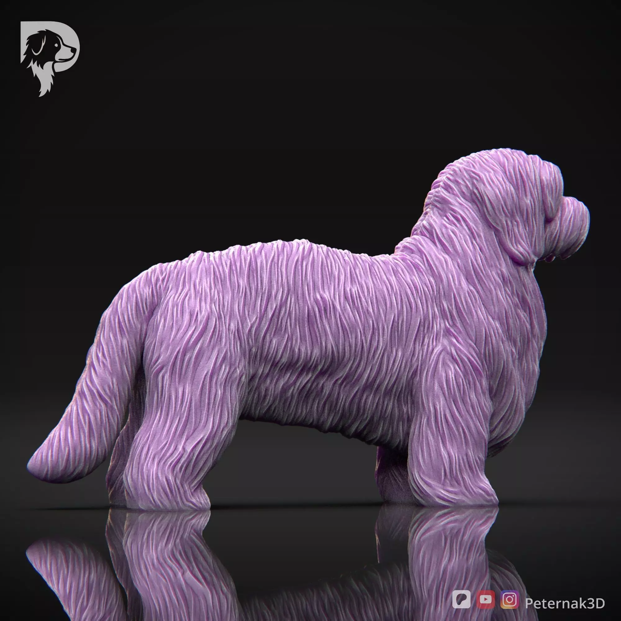 Dog 3D Print Model Coton De Tulear Dog Pose 01 Ready STL 3D print model_5
