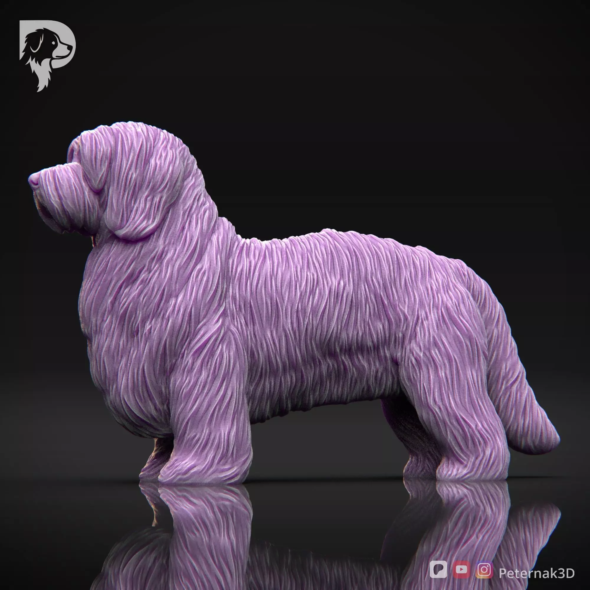 Dog 3D Print Model Coton De Tulear Dog Pose 01 Ready STL 3D print model_10