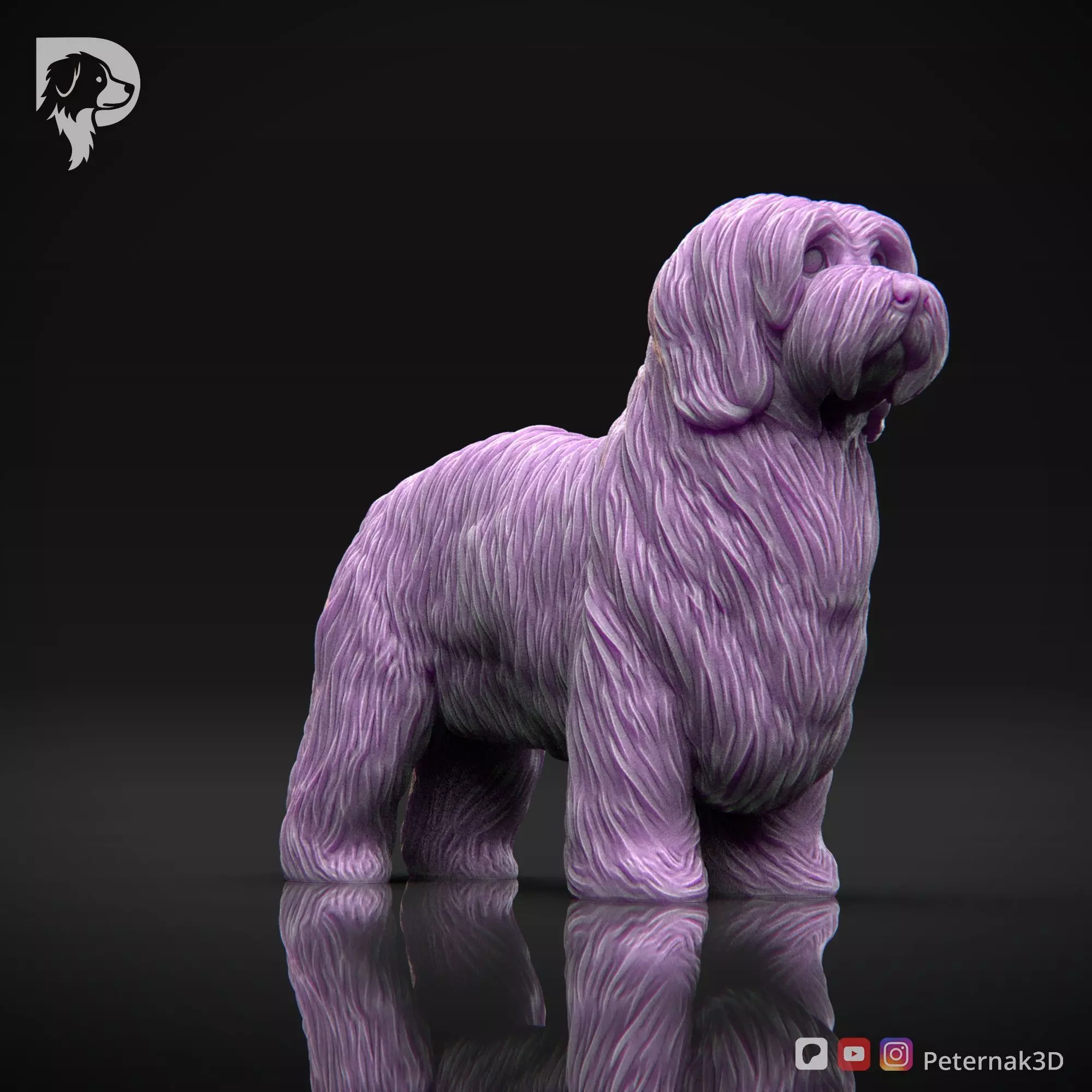 Dog 3D Print Model Coton De Tulear Dog Pose 01 Ready STL 3D print model_3
