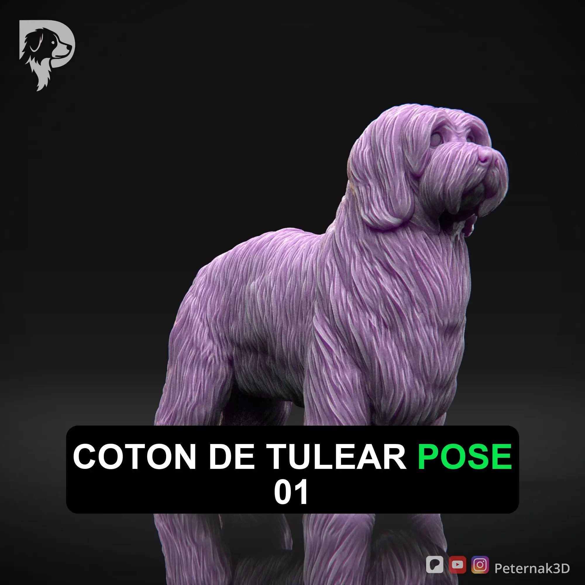 Dog 3D Print Model Coton De Tulear Dog Pose 01 Ready STL 3D print model_0