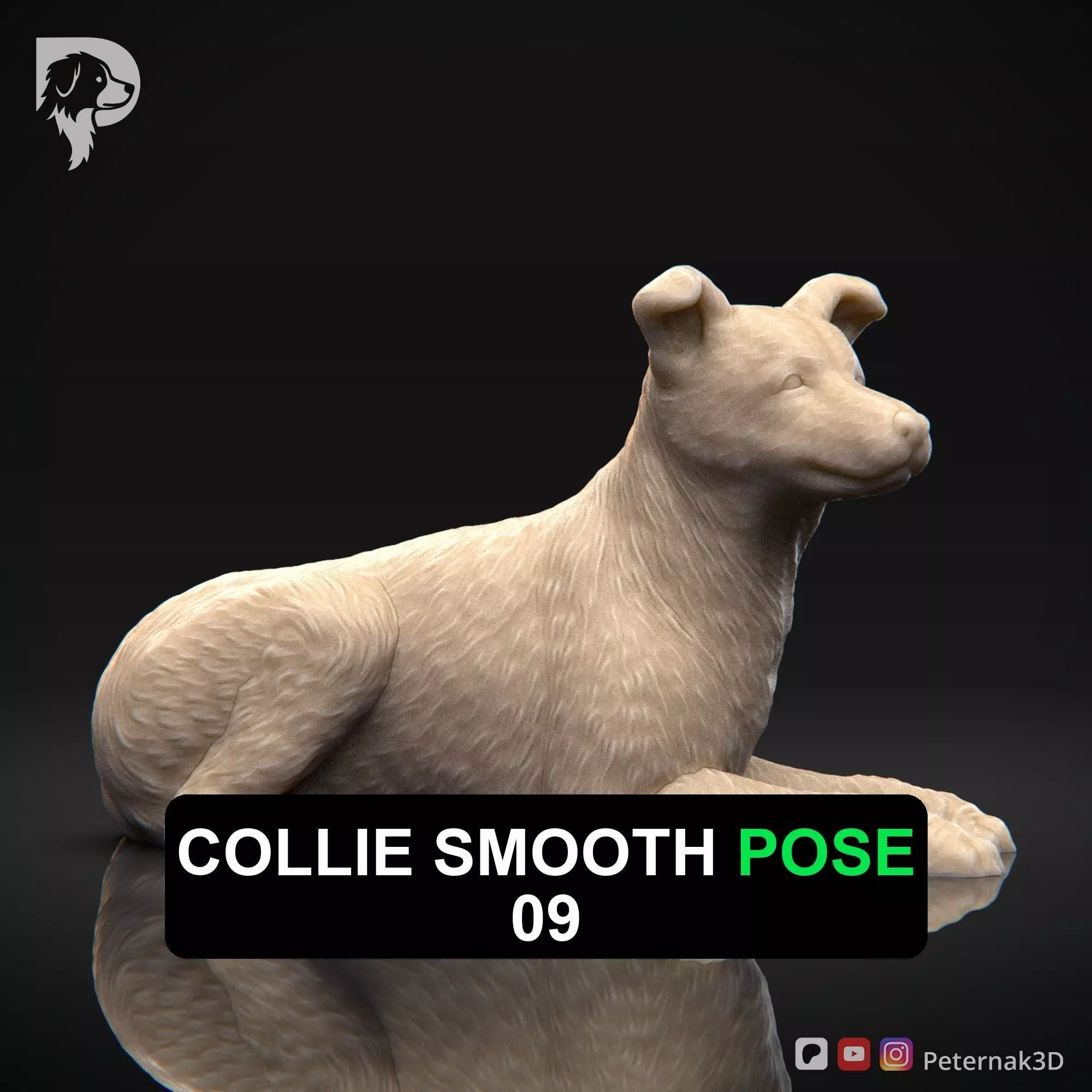 Dog 3D Print Model Collie Smooth Dog Pose 09 Ready STL 3D print model