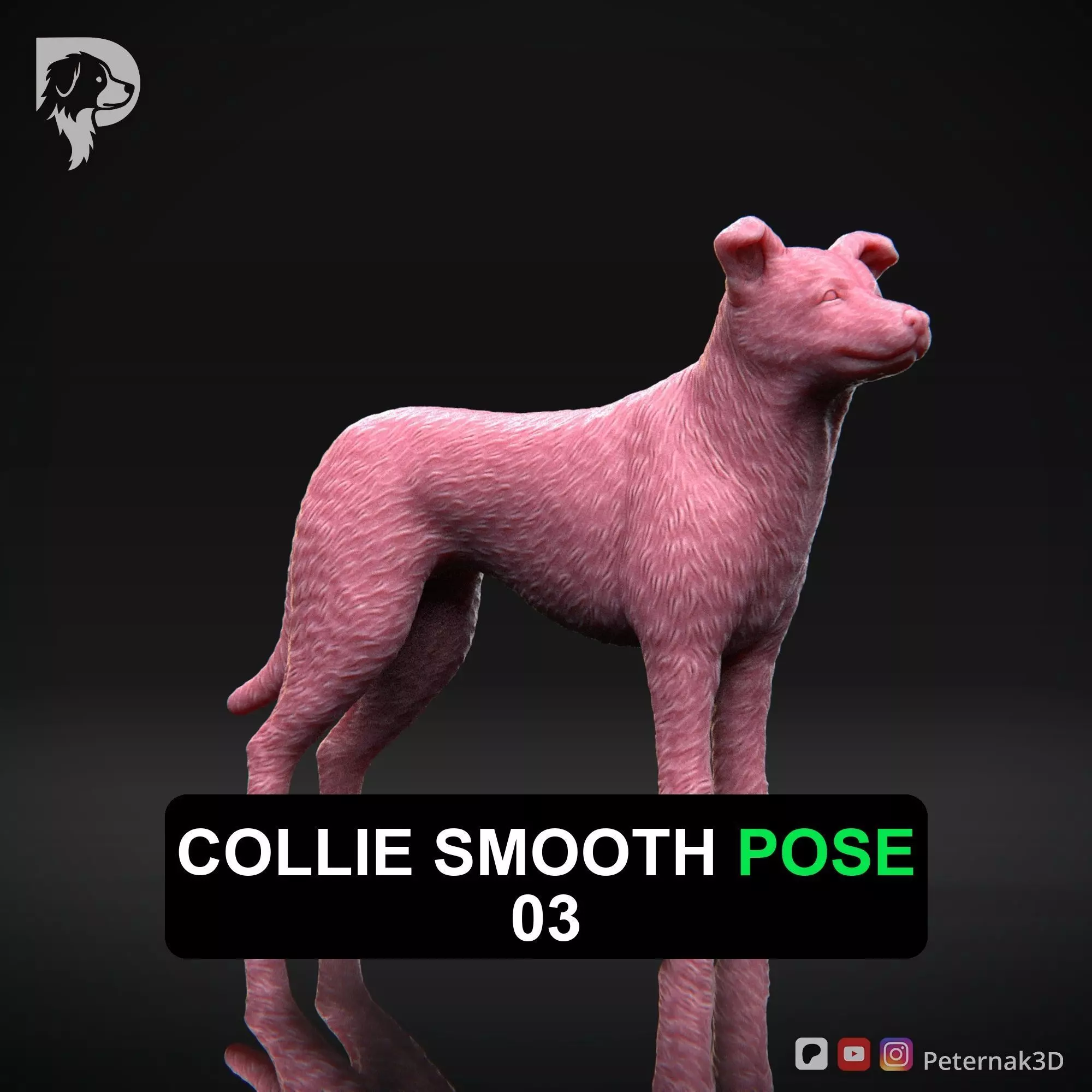 Dog 3D Print Model Collie Smooth Dog Pose 03 Ready STL 3D print model