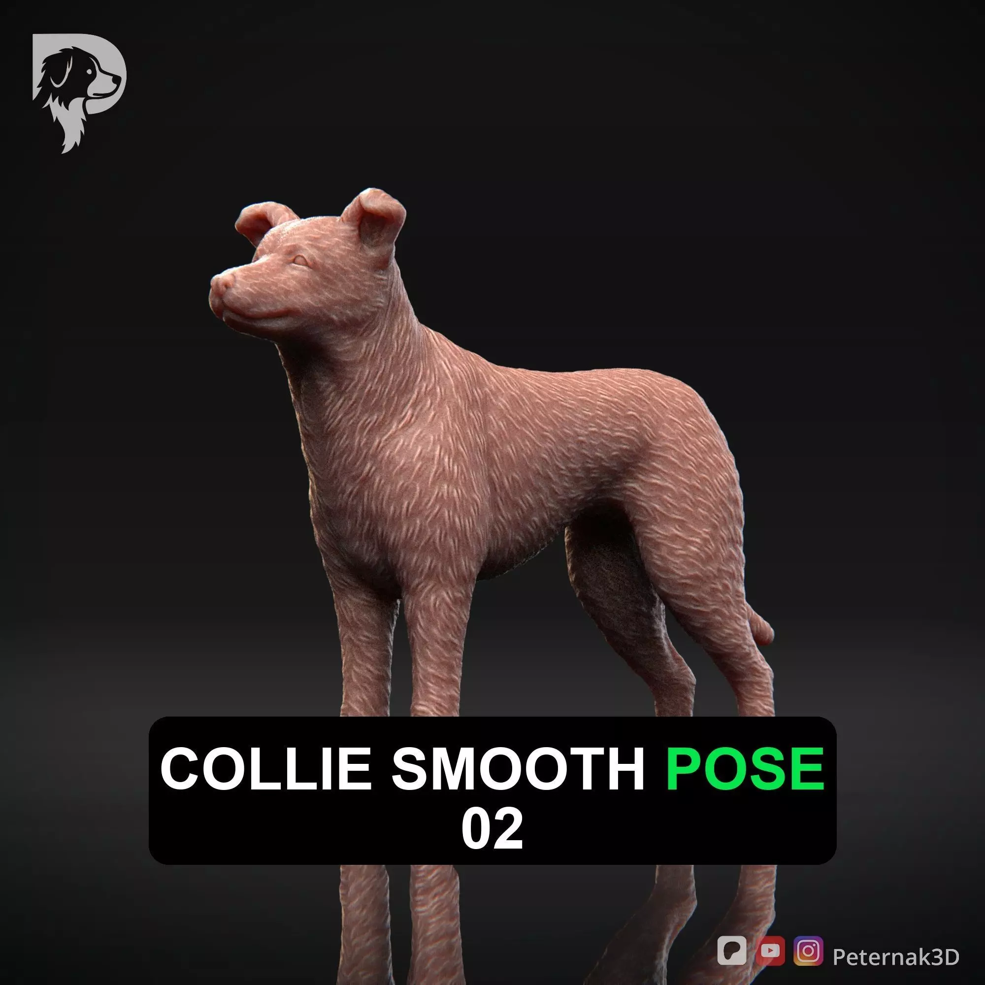 Dog 3D Print Model Collie Smooth Dog Pose 02 Ready STL 3D print model