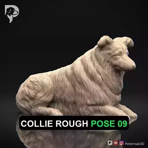 Dog 3D Print Model Collie Rough Dog Pose 09 Ready STL