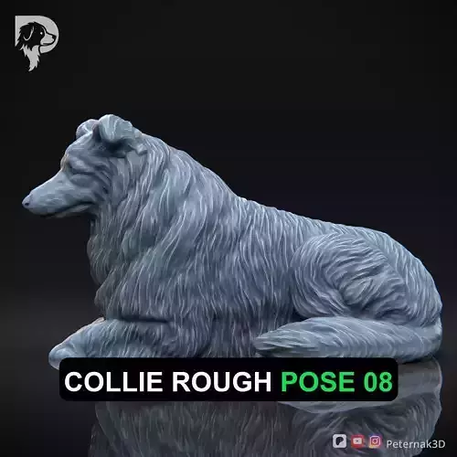 Dog 3D Print Model Collie Rough Dog Pose 08 Ready STL