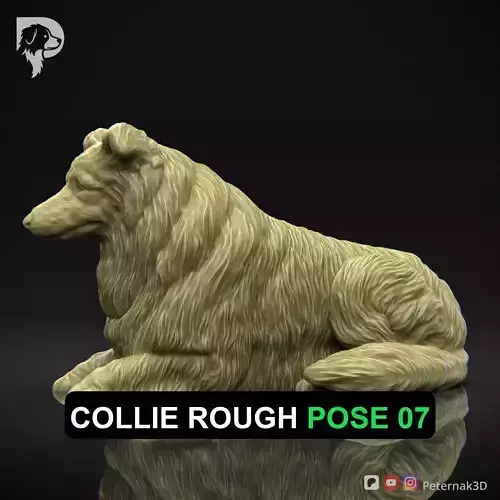 Dog 3D Print Model Collie Rough Dog Pose 07 Ready STL 3D print model