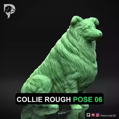 Dog 3D Print Model Collie Rough Dog Pose 06 Ready STL