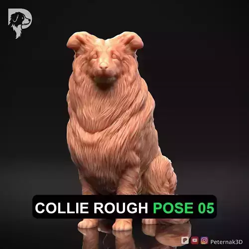 Dog 3D Print Model Collie Rough Dog Pose 05 Ready STL