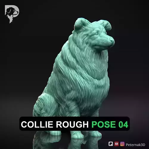 Dog 3D Print Model Collie Rough Dog Pose 04 Ready STL