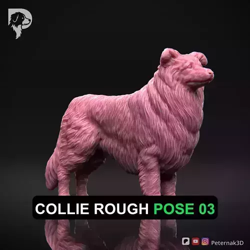 Dog 3D Print Model Collie Rough Dog Pose 03 Ready STL