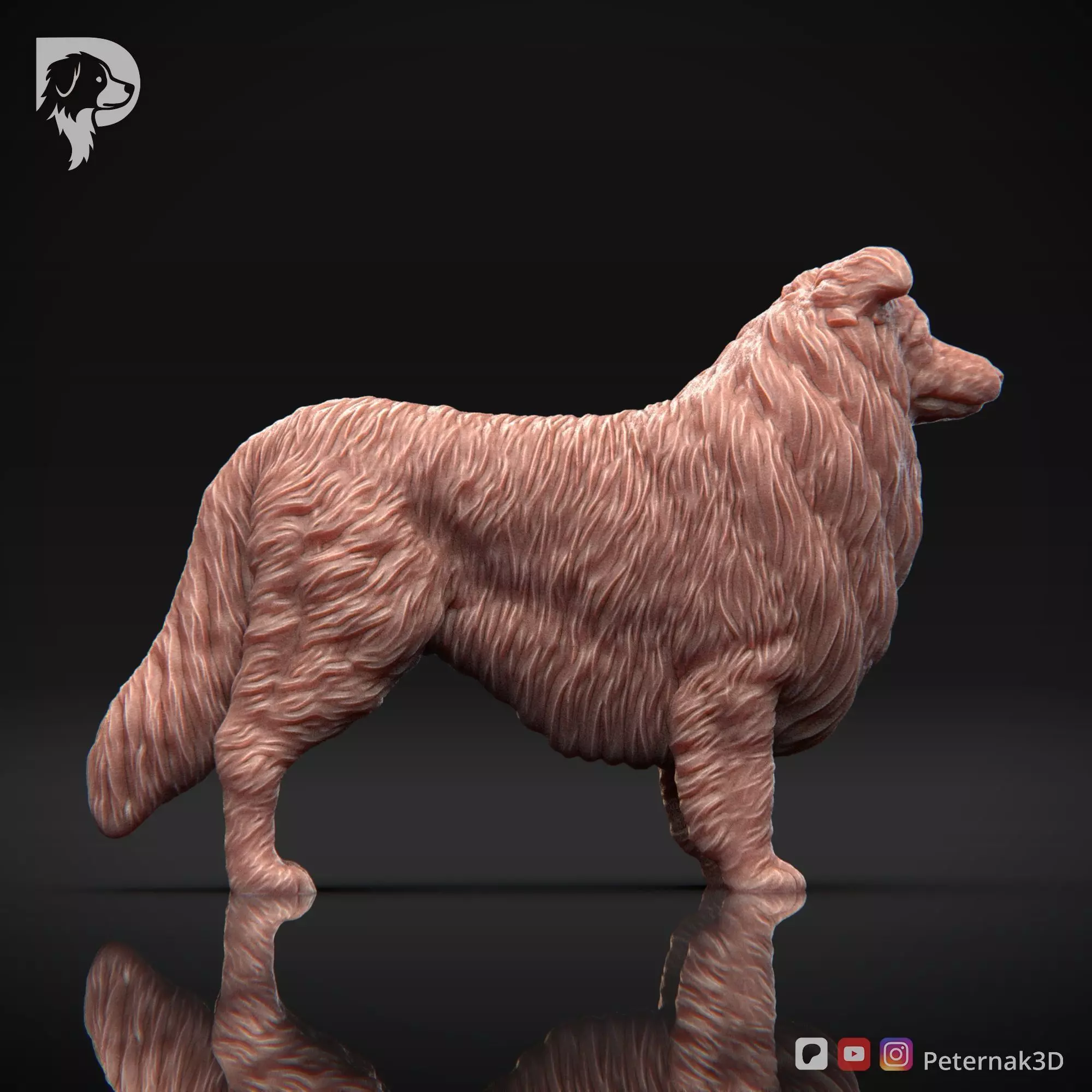 Dog 3D Print Model Collie Rough Dog Pose 02 Ready STL 3D print model_5