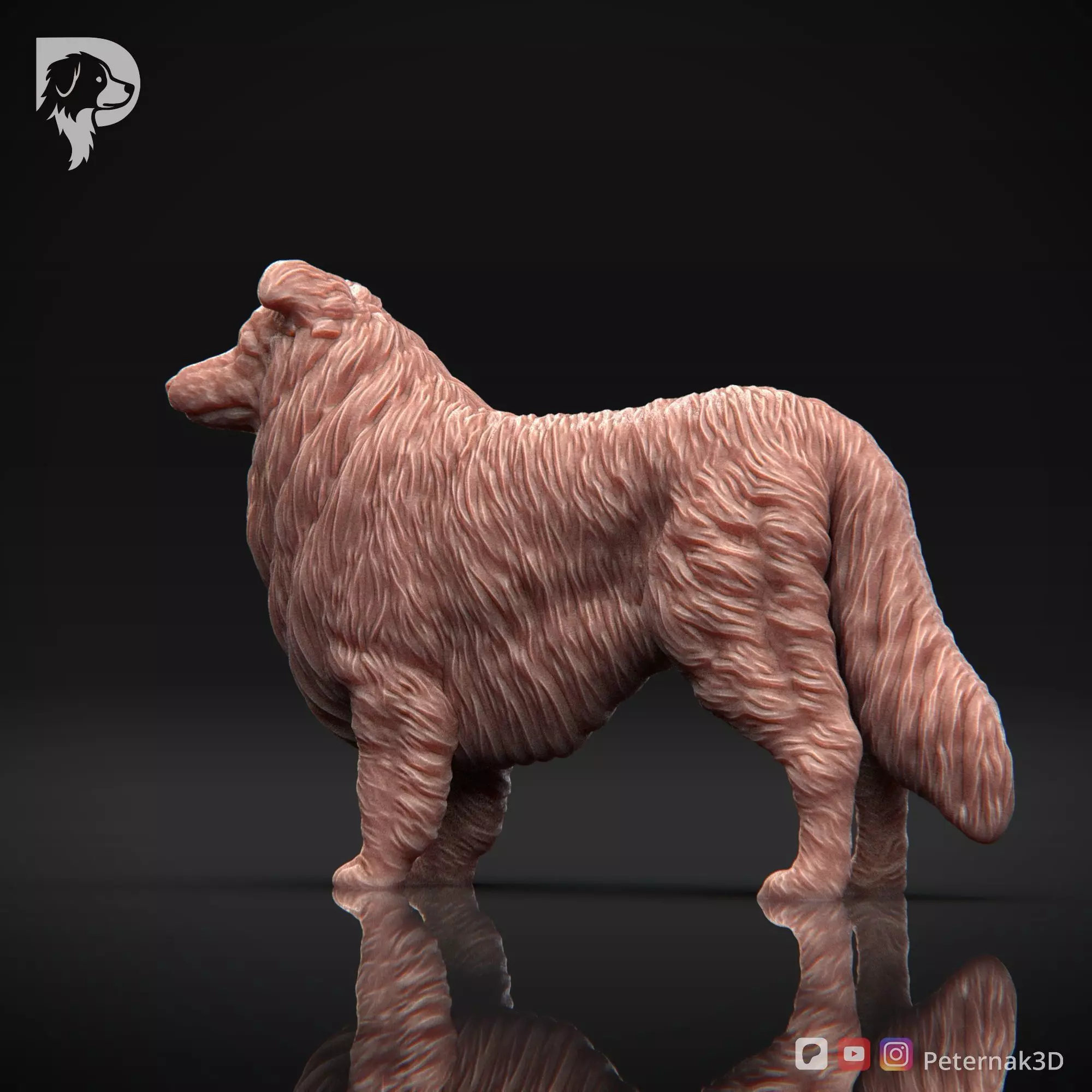 Dog 3D Print Model Collie Rough Dog Pose 02 Ready STL 3D print model_9