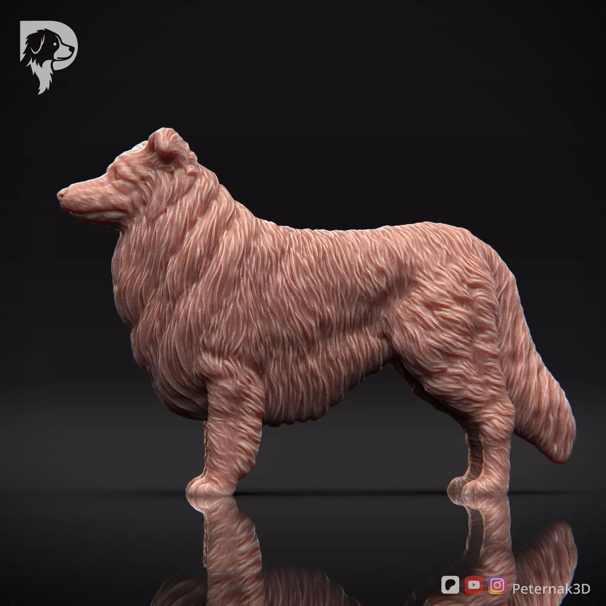 Dog 3D Print Model Collie Rough Dog Pose 02 Ready STL 3D print model_10