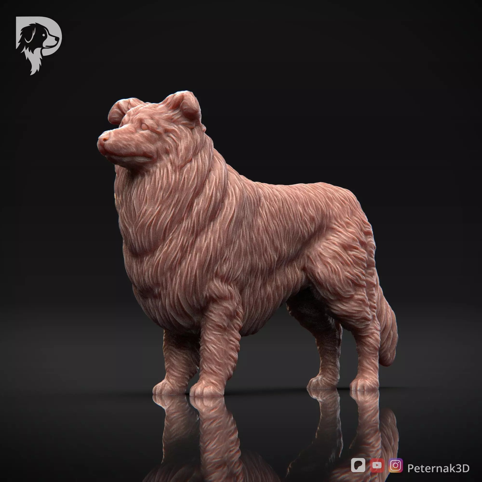 Dog 3D Print Model Collie Rough Dog Pose 02 Ready STL 3D print model_11