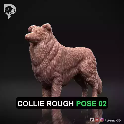 Dog 3D Print Model Collie Rough Dog Pose 02 Ready STL