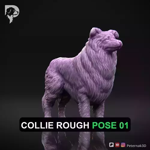Dog 3D Print Model Collie Rough Dog Pose 01 Ready STL