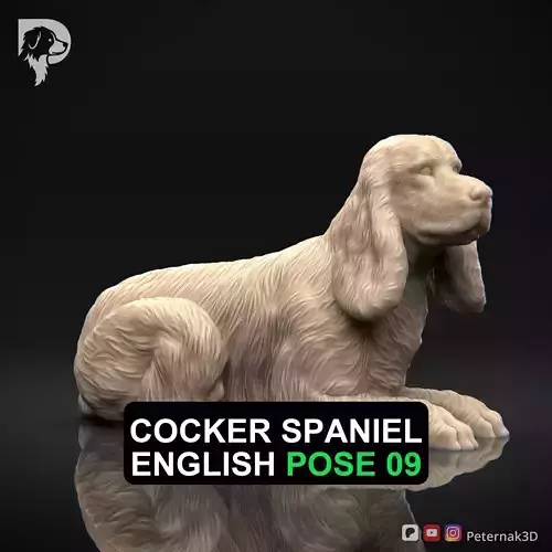Dog 3D Print Model Cocker Spaniel English Dog Pose 09 Ready STL