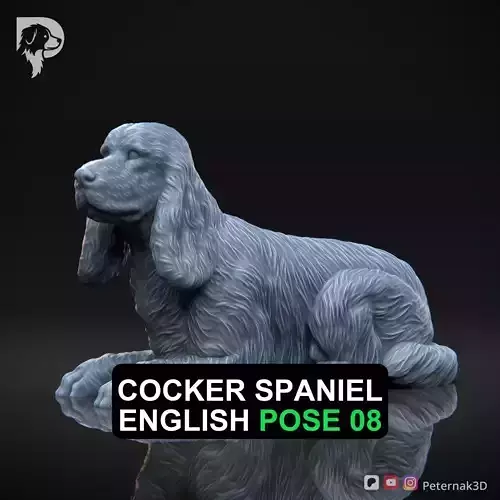 Dog 3D Print Model Cocker Spaniel English Dog Pose 08 Ready STL