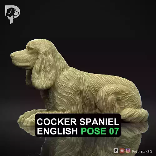 Dog 3D Print Model Cocker Spaniel English Dog Pose 07 Ready STL