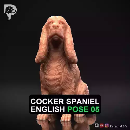 Dog 3D Print Model Cocker Spaniel English Dog Pose 05 Ready STL