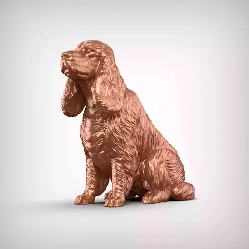 Cocker Spaniel English Dog 3D Print Model Pose 04 3D print model