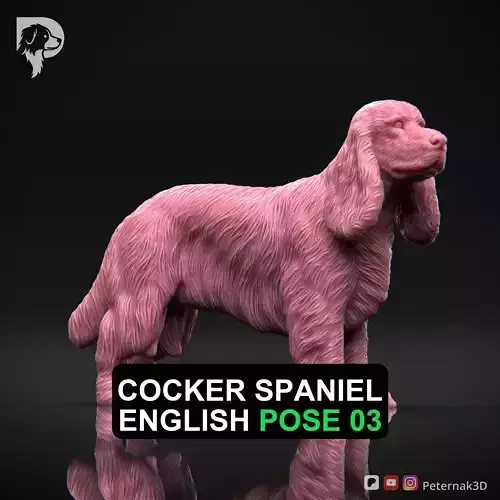 Dog 3D Print Model Cocker Spaniel English Dog Pose 03 Ready STL