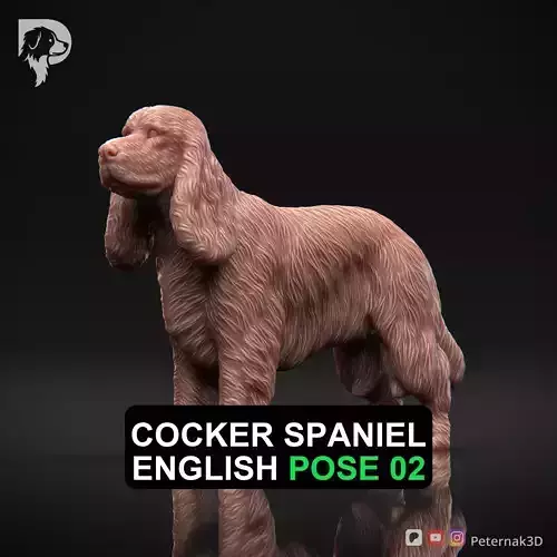 Dog 3D Print Model Cocker Spaniel English Dog Pose 02 Ready STL