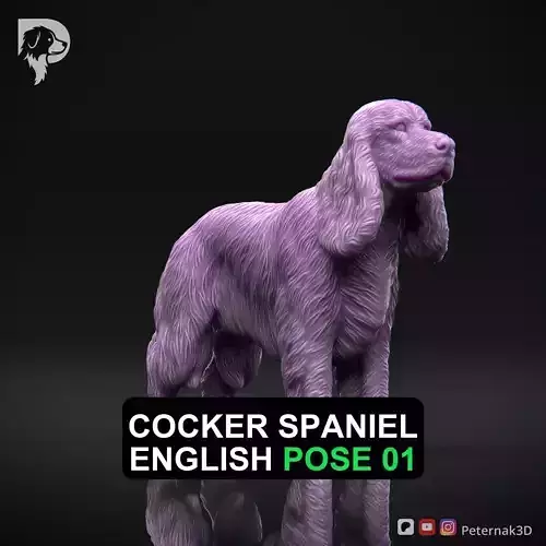 Dog 3D Print Model Cocker Spaniel English Dog Pose 01 Ready STL
