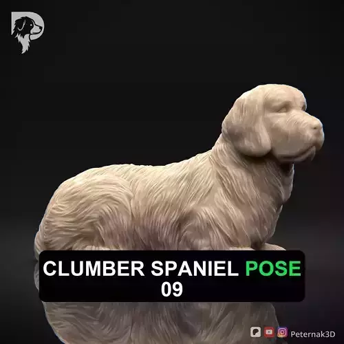 Dog 3D Print Model Clumber Spaniel Dog Pose 09 Ready STL 3D print model