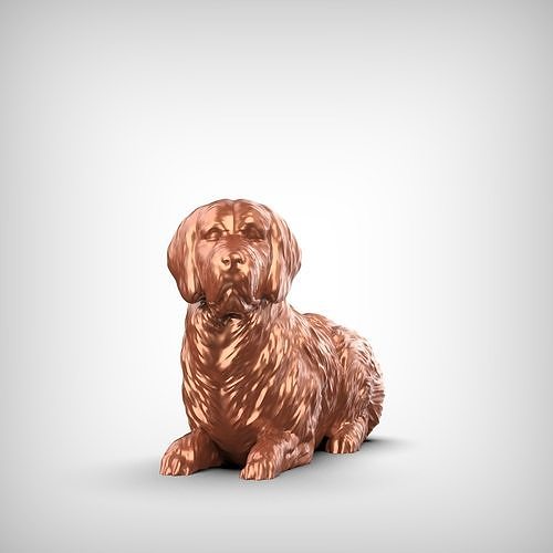 Clumber Spaniel Dog 3D Print Model Pose 08 3D print model