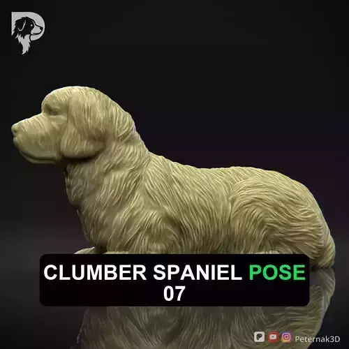 Dog 3D Print Model Clumber Spaniel Dog Pose 07 Ready STL 3D print model