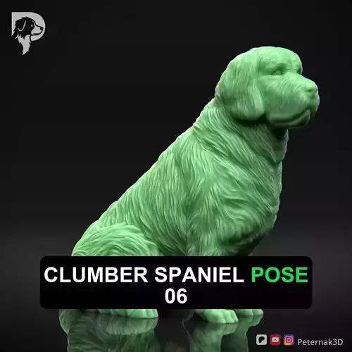 Dog 3D Print Model Clumber Spaniel Dog Pose 06 Ready STL 3D print model