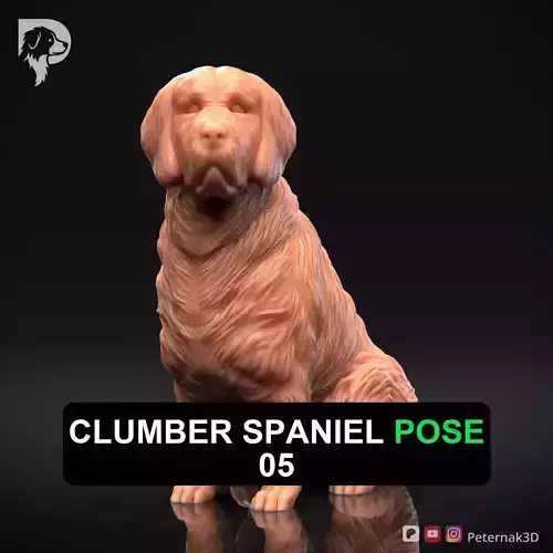 Dog 3D Print Model Clumber Spaniel Dog Pose 05 Ready STL 3D print model