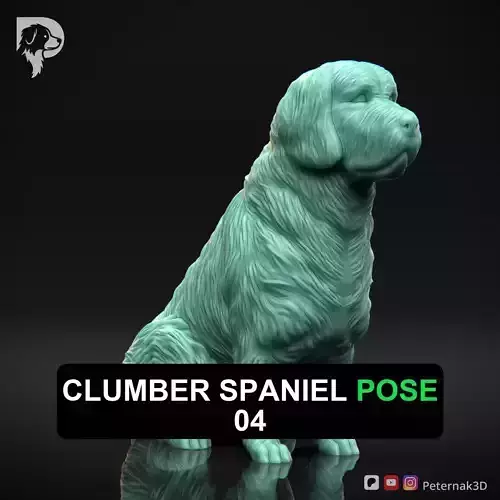 Dog 3D Print Model Clumber Spaniel Dog Pose 04 Ready STL 3D print model
