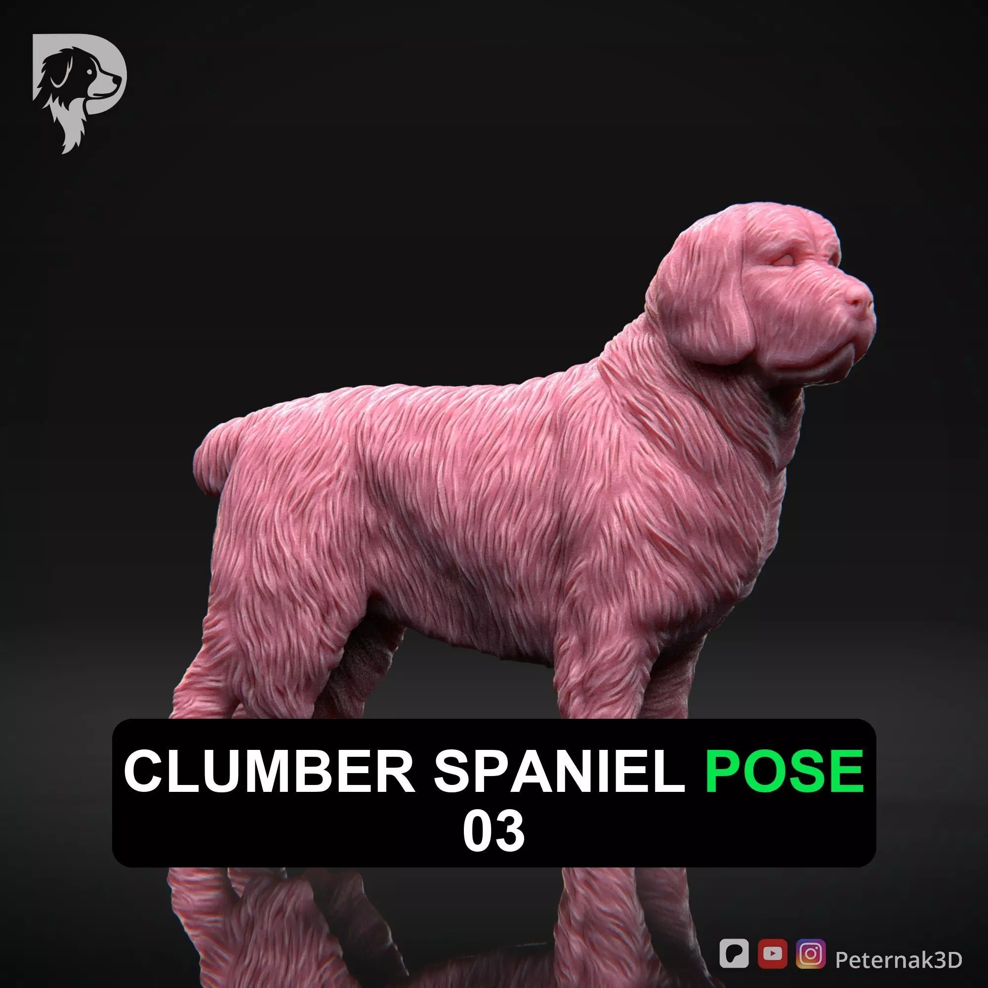 Dog 3D Print Model Clumber Spaniel Dog Pose 03 Ready STL 3D print model
