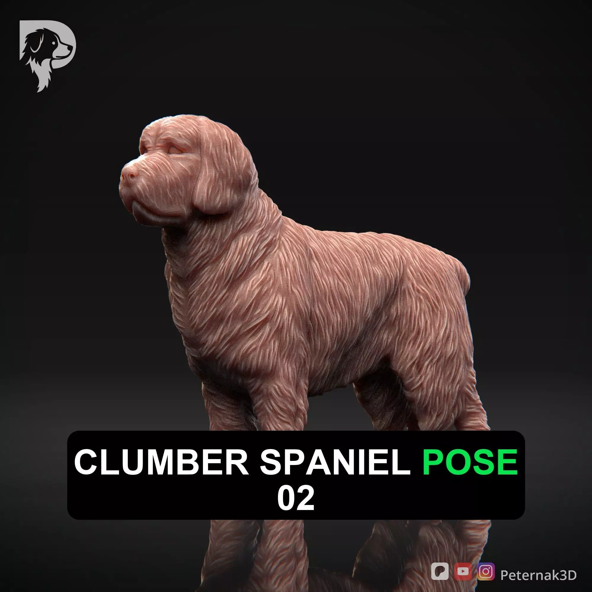 Dog 3D Print Model Clumber Spaniel Dog Pose 02 Ready STL 3D print model