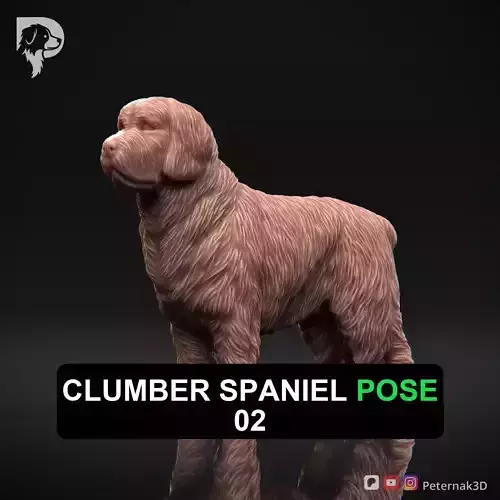 Dog 3D Print Model Clumber Spaniel Dog Pose 02 Ready STL 3D print model