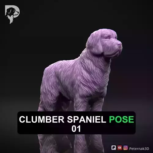 Dog 3D Print Model Clumber Spaniel Dog Pose 01 Ready STL 3D print model