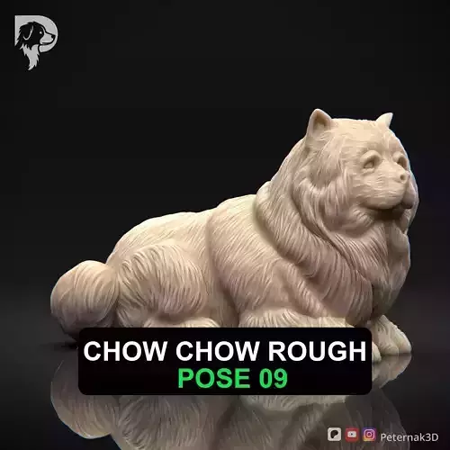 Dog 3D Print Model Chow Chow Rough Dog Pose 09 Ready STL