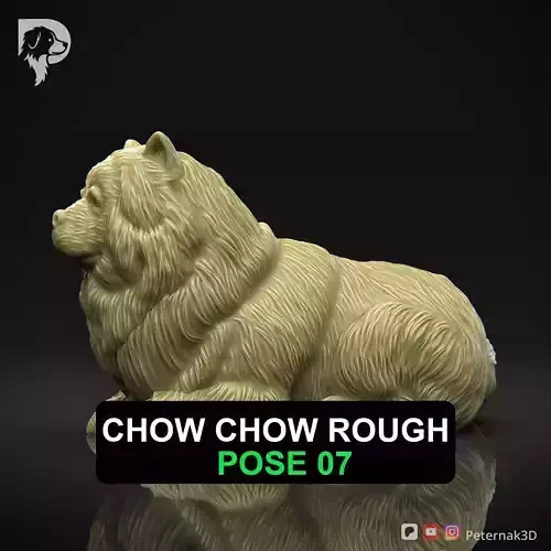 Dog 3D Print Model Chow Chow Rough Dog Pose 07 Ready STL