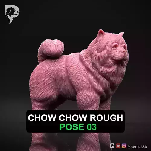 Dog 3D Print Model Chow Chow Rough Dog Pose 03 Ready STL