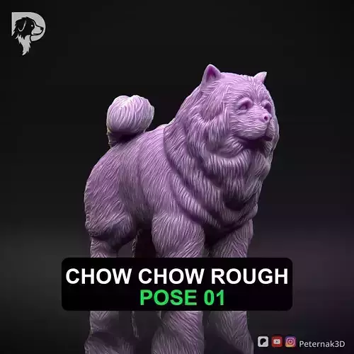 Dog 3D Print Model Chow Chow Rough Dog Pose 01 Ready STL
