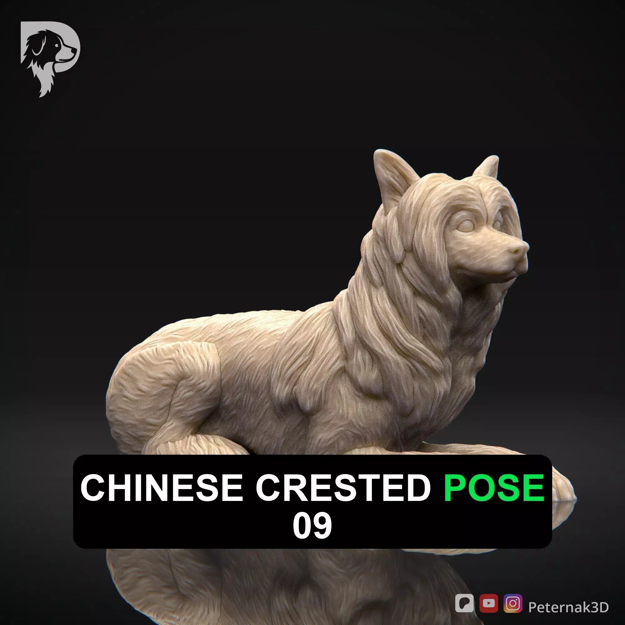 Dog 3D Print Model Chinese Crested Dog Pose 09 Ready STL 3D print model_0