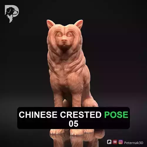 Dog 3D Print Model Chinese Crested Dog Pose 05 Ready STL