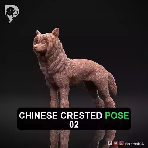 Dog 3D Print Model Chinese Crested Dog Pose 02 Ready STL