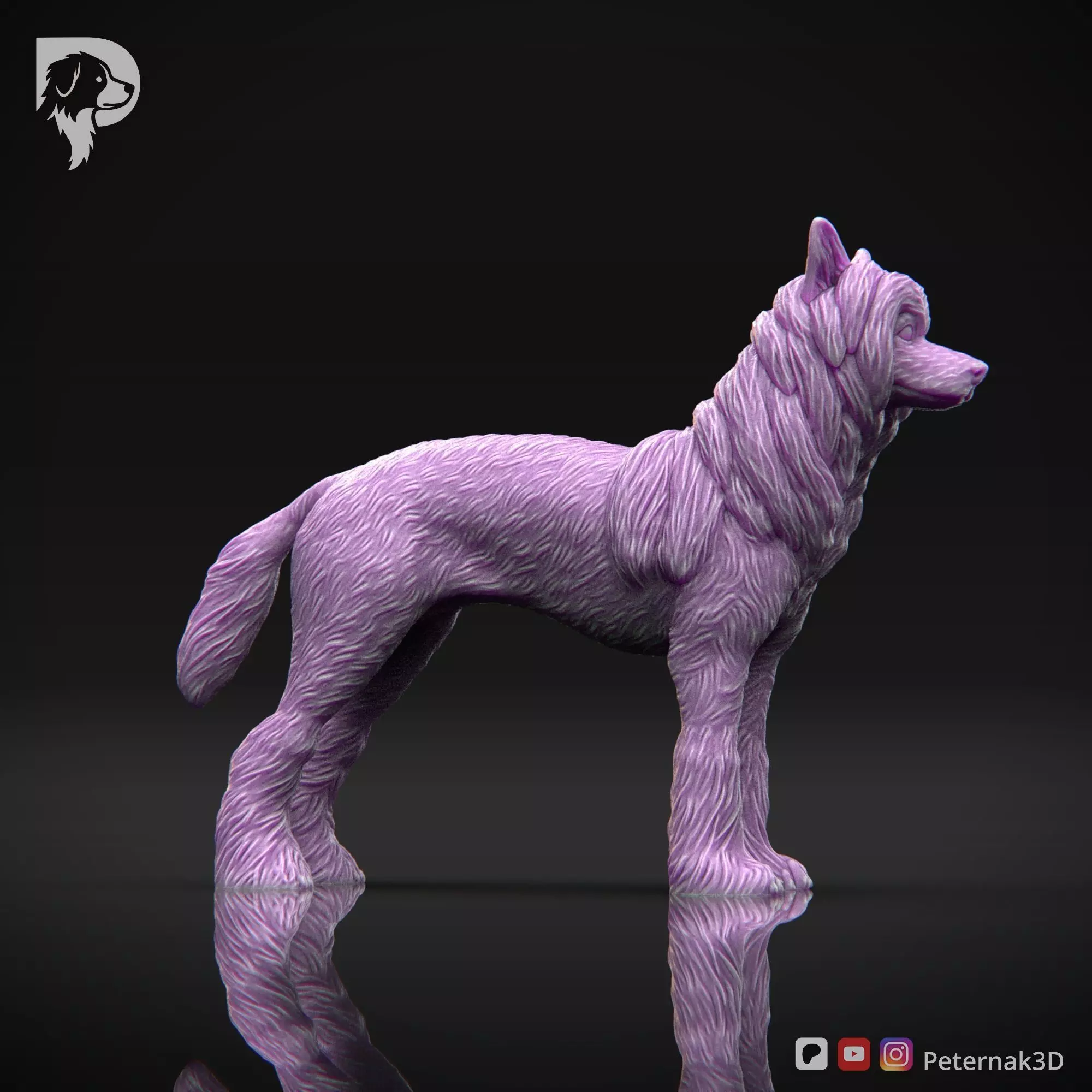 Dog 3D Print Model Chinese Crested Dog Pose 01 Ready STL 3D print model_4