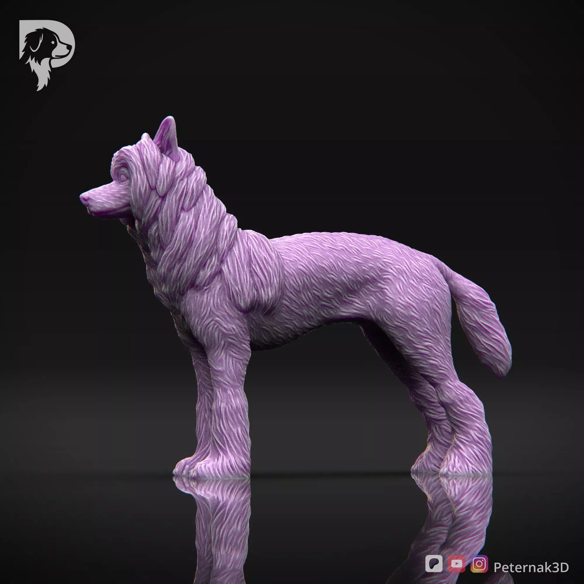 Dog 3D Print Model Chinese Crested Dog Pose 01 Ready STL 3D print model_10