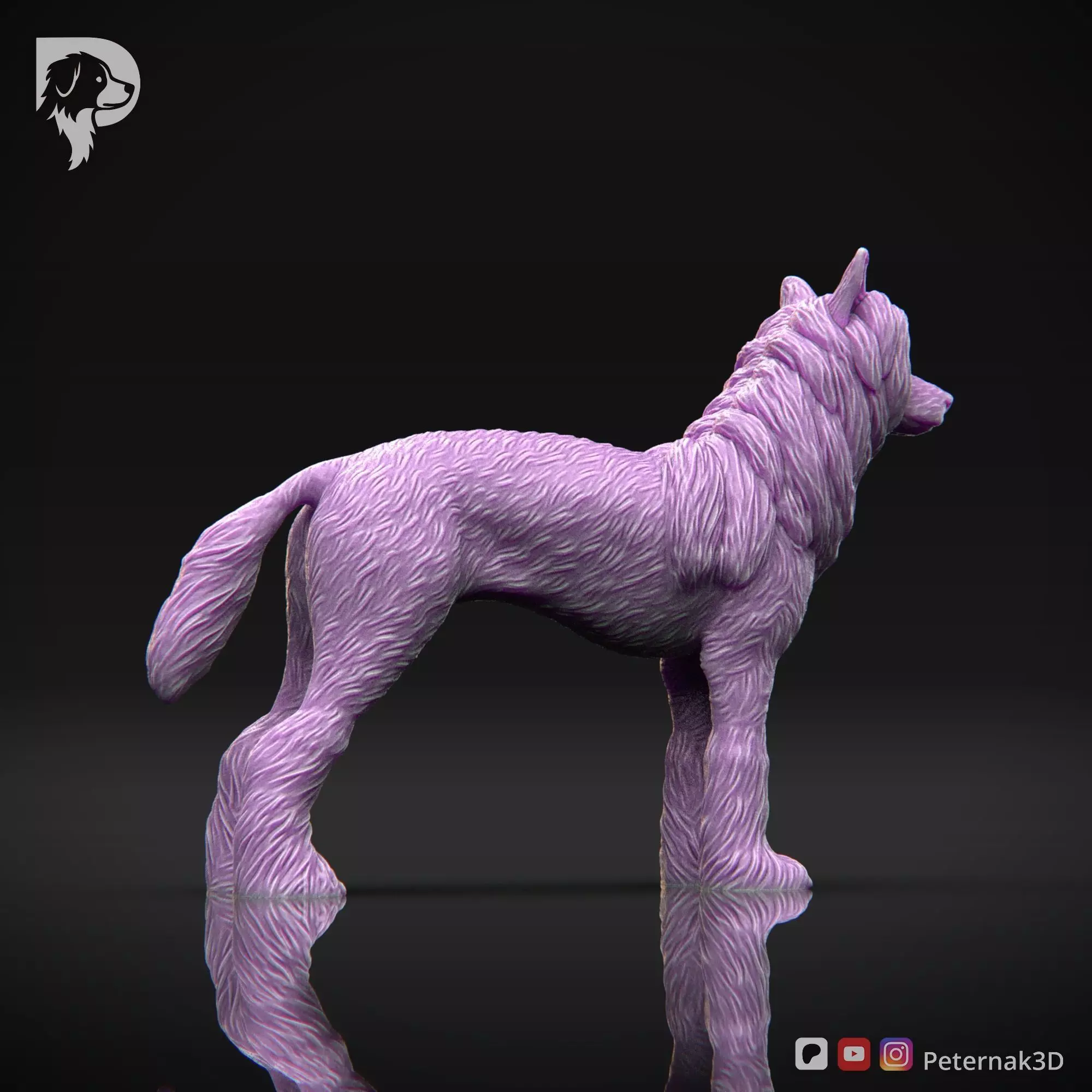 Dog 3D Print Model Chinese Crested Dog Pose 01 Ready STL 3D print model_5