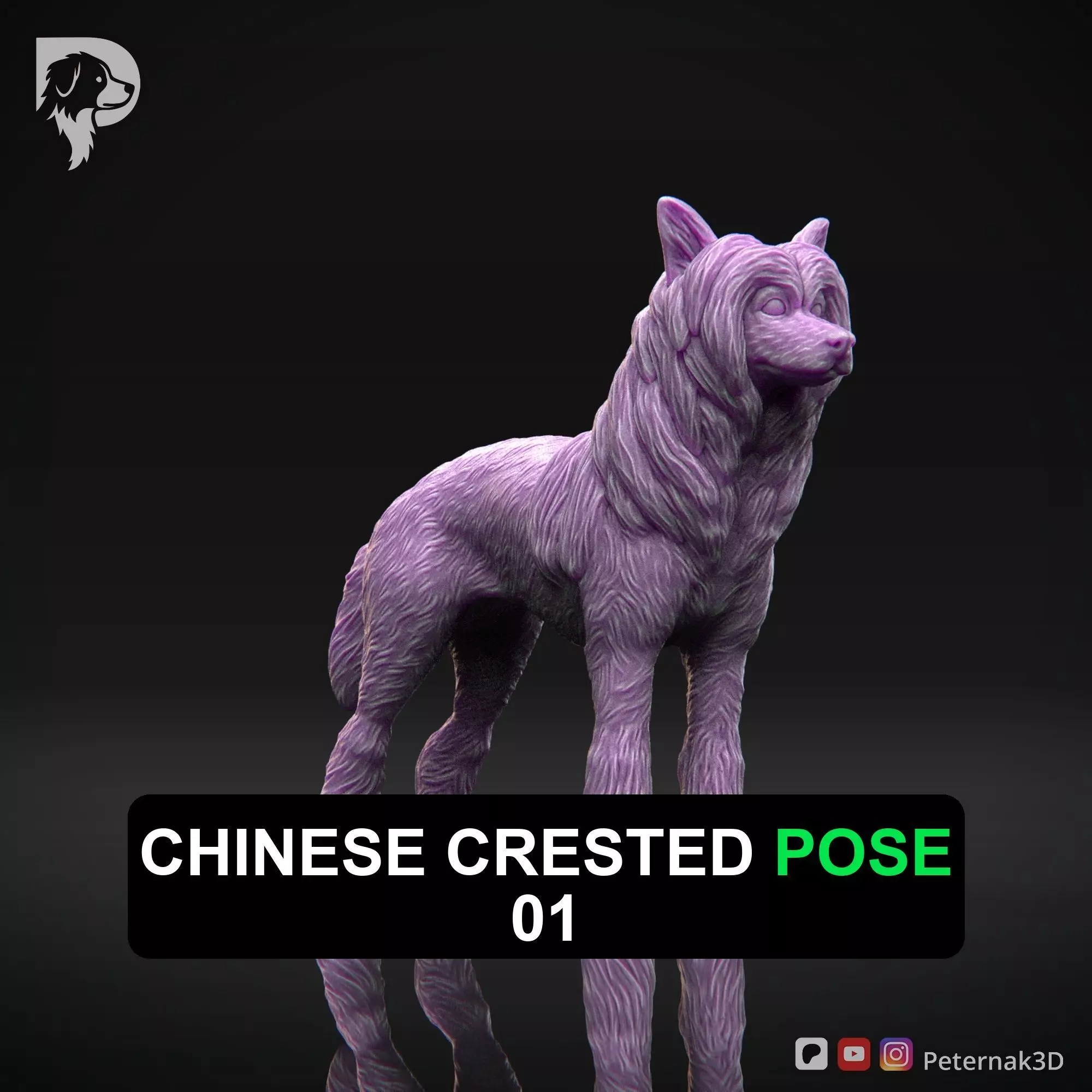 Dog 3D Print Model Chinese Crested Dog Pose 01 Ready STL 3D print model_0