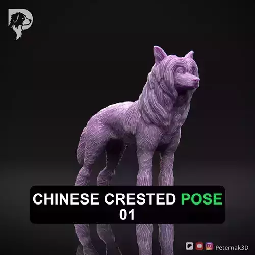 Dog 3D Print Model Chinese Crested Dog Pose 01 Ready STL